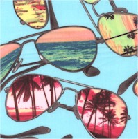 Ocean Avenue - Tossed Summertime Sunglasses by Maria Kalinowski