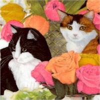 Whiskers Among Petals - Packed Cats