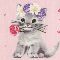 Furry Princess - Adorable Kittens on Pink