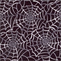 CE-spiderwebs-DD249