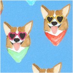 Woof! Corgi Dogs with Character on Blue