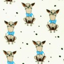 Whos That Girl - Small Scale Chihuahuas with Blue Bow Ties
