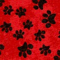 DOG-paws-S220
