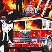 FIRE-rescue-R865