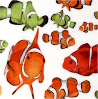 FISH-clownfish-CC994