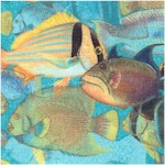 Tropical Dreams - Schools of Marine Fish in Turquoise by Kathleen Francour 