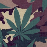 FLO-cannabis-AA588