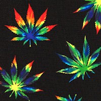 FLO-cannabis-R548