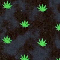 FLO-cannabis-R550