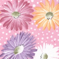 Daisies - Daisy Cluster on Polka Dotted Pink by Donna Dewberry