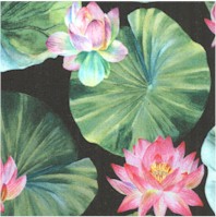Water Lilies - Tossed Lily Pads and Lotus Flowers on Black by Michel Design Works