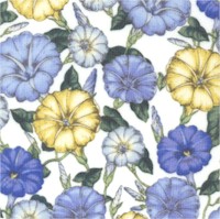 Wall Flowers - Lovely Morning Glories on Ivory