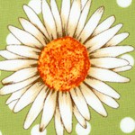 Flower Shop - Daisies on Polka Dotted Green