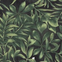 FLO-foliage-AA985