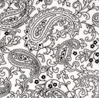 BW-paisley-CC757