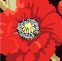 Scarlet - Bold Poppy Floral on Black by Pamela Mostek