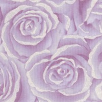 Love is in the Air - Lavender Roses with Pearlescent Silver Highlights