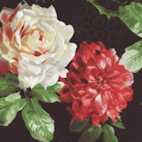 FLO-roses-R659