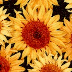FLO-sunflowers-W426