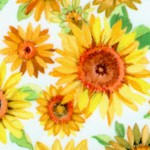 FLO-sunflowers-Y487