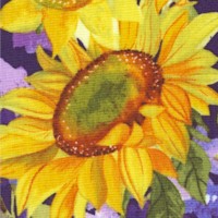 Sunny Fields - Brilliant Sunflowers and Daisies by Sue Zipkin