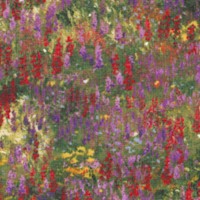 Wildflower Trails - Magical Fields by Clare Goldrick