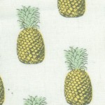 Fern Garden - Pineapples