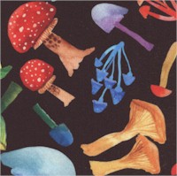 Songbird Garden - Mushroom Field by Katherine Herrell