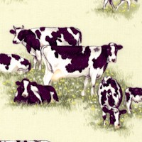 Farm Animals - Grazing Cows