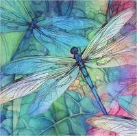 Dragonfly Illusion - Packed Dragonflies