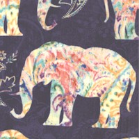 AN-elephants-R528