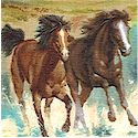 Running with the Wind - Wild Horse Scenes - LTD. YARDAGE AVAILABLE