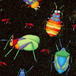 AN-insects-W182