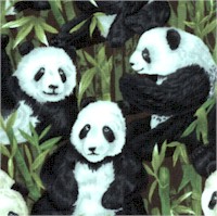 Peter Panda - Stacked Pandas and Bamboo