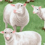 AN-sheep-W51