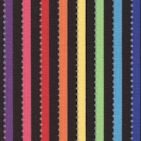 Becolorful - Rainbow Stripe on Black with Silver Metallic