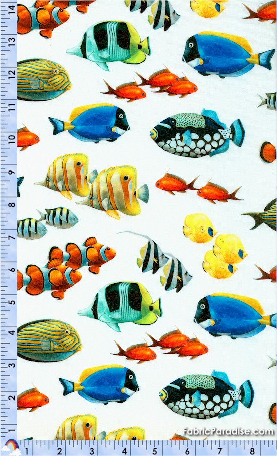 FISH-coralreef-Y144 FISH-coralreef-Y144