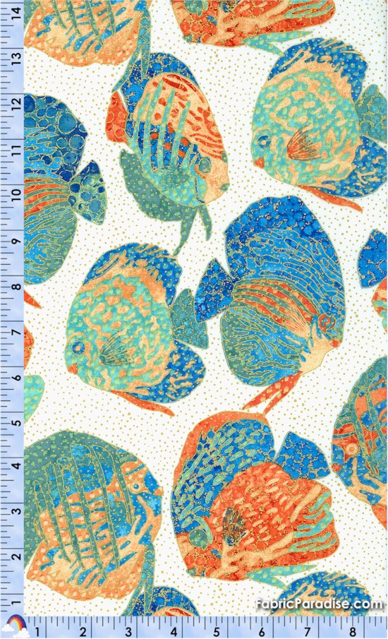 FISH-oasis-Y146 FISH-oasis-Y146