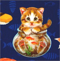 Instagram Famous - Sushi Cats