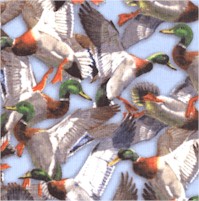 Walden Pond Mallards by Wild Wings - SALE! (MINIMUM PURCHASE 1 YARD)