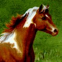 Noble Stature Scenic - Magnificent Horses