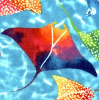 FISH-stingrays-DD121