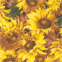 FLO-sunflowers-DD181