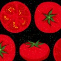 FB-tomatoes-S631
