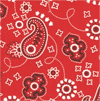 Bandana Paisley on Red - SALE! (MINIMUM PURCHASE 1 YARD)