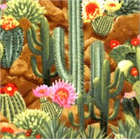 Colorful Cactus Scenic