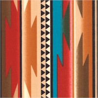 Trading Post - Southwest Vertical Stripe by Whistler Studios