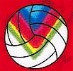 SP-volleyball-E31