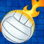 SP-volleyballs-U959