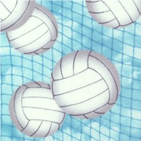 SP-volleyballs-Z148
